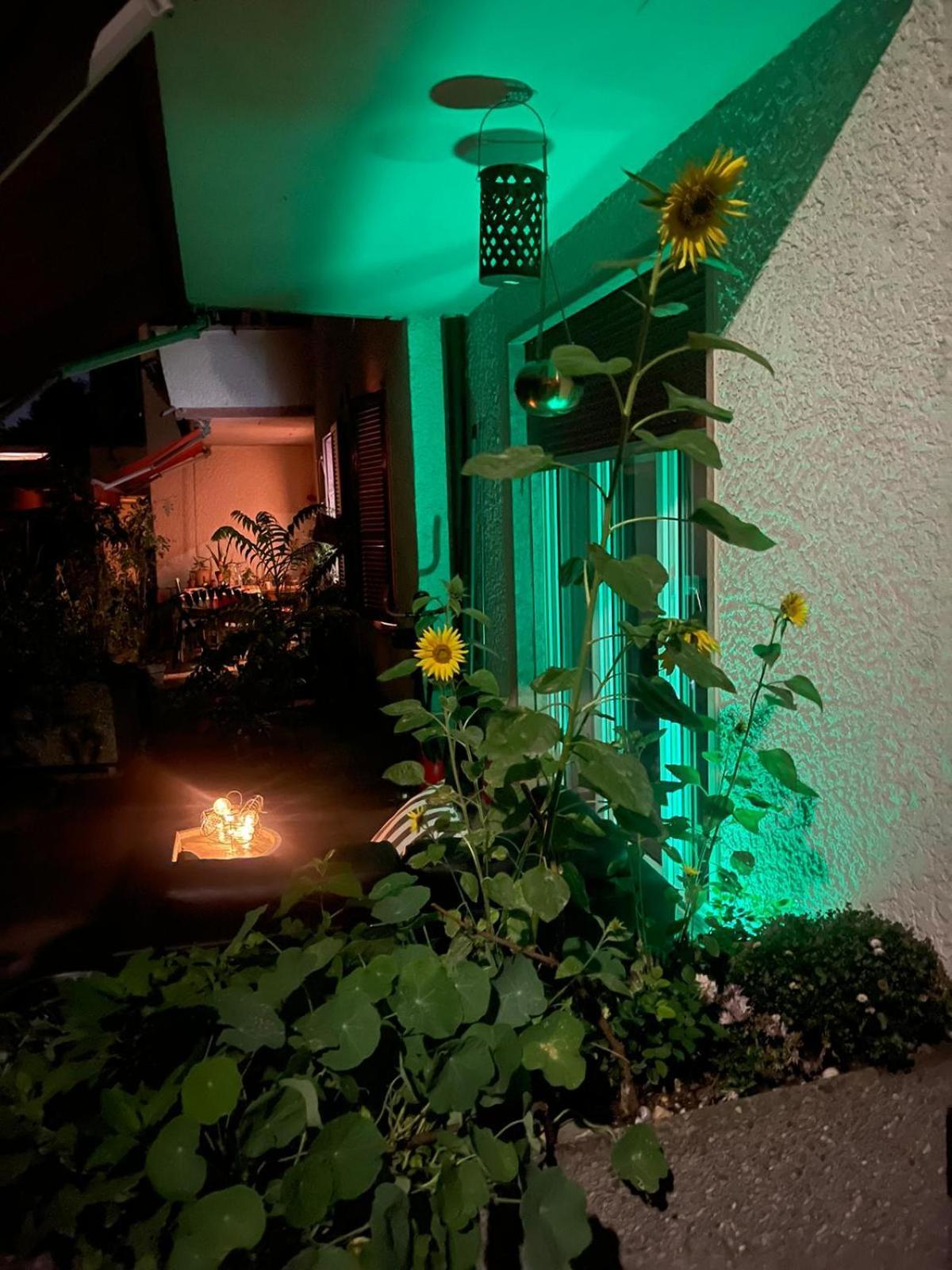 Apartament Bellezza In Lorraine Berno Zewnętrze zdjęcie